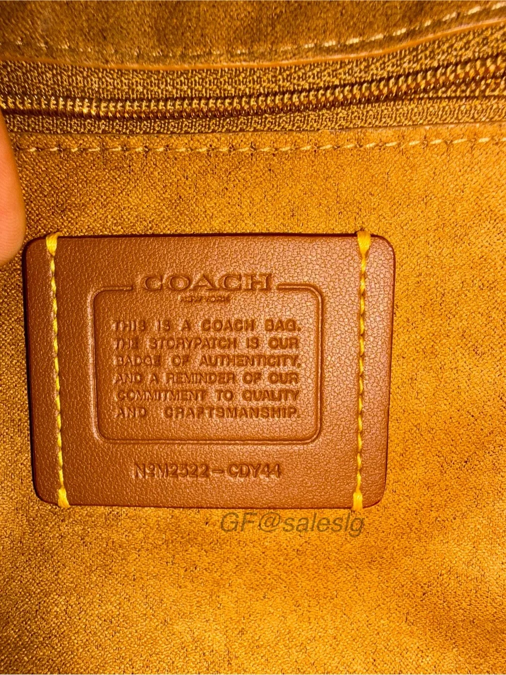 Coach rich dark